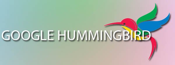 google_hummingbird